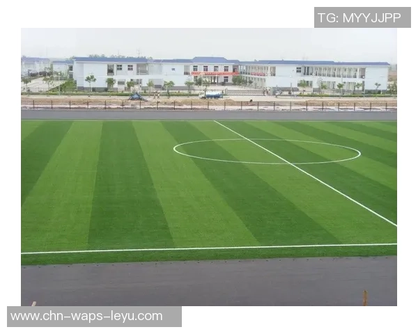 室内足球场草坪选择与维护技巧全面解析助你打造完美运动环境